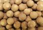 Preview: Fifty Fish Boilies 5 kg